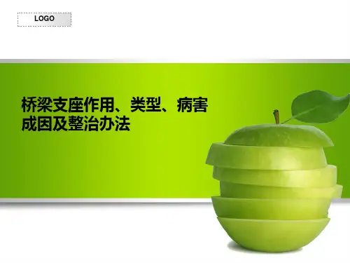 支座病害原因及整治