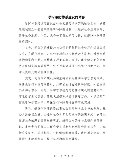 学习惩防体系建设的体会