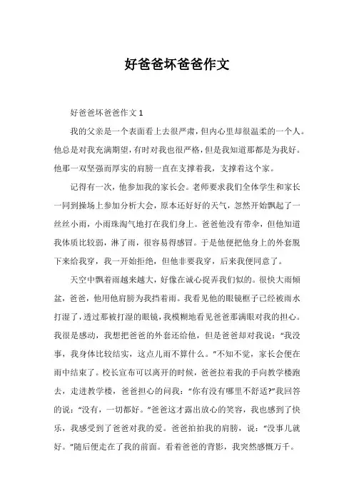 好爸爸坏爸爸作文1