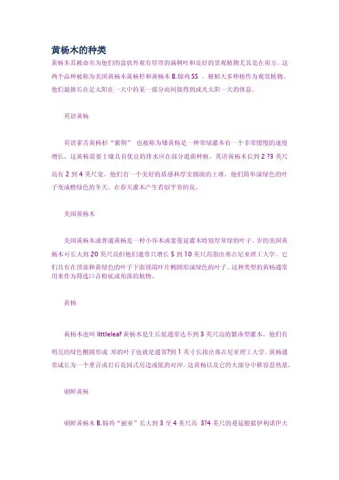 黄杨木的种类