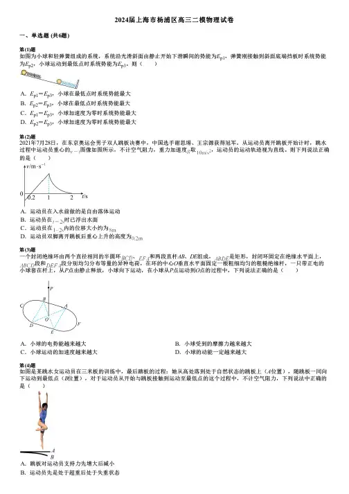 2024届上海市杨浦区高三二模物理试卷 2
