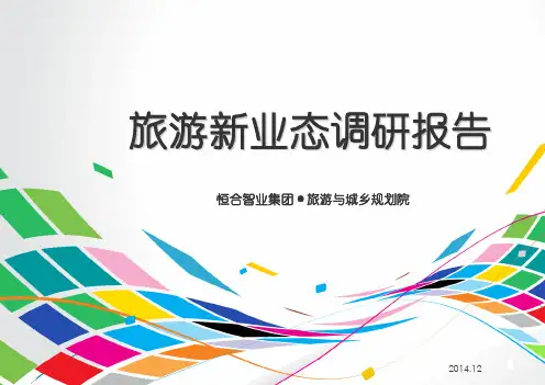 旅游新兴业态研究