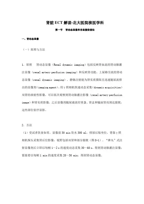 肾脏ECT解读