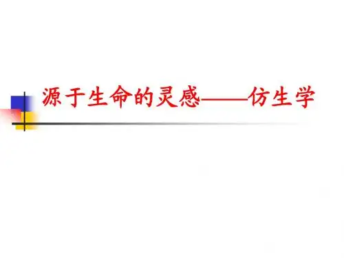 源于生命的灵感——仿生学
