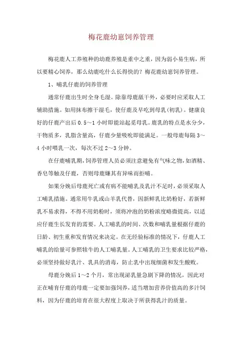 梅花鹿幼崽饲养管理