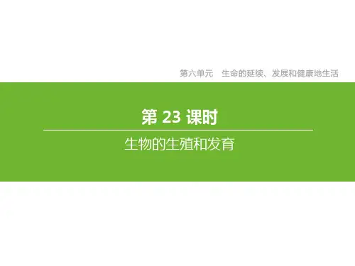 人教版中考生物总复习第六单元生命的延续发展和降地生活第23课时生物的生殖和发育课件 