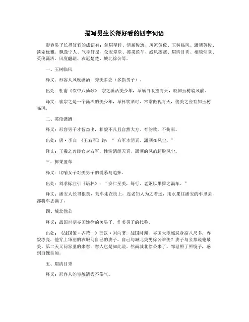 描写男生长得好看的四字词语
