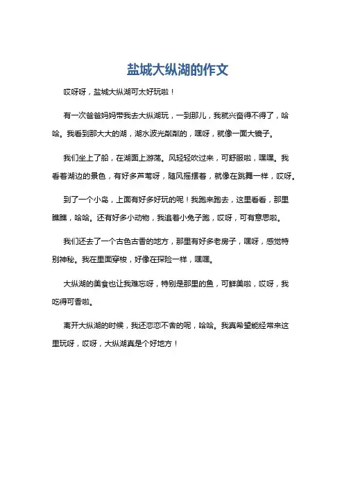 盐城大纵湖的作文