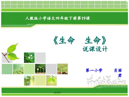 生命生命说课ppt课件