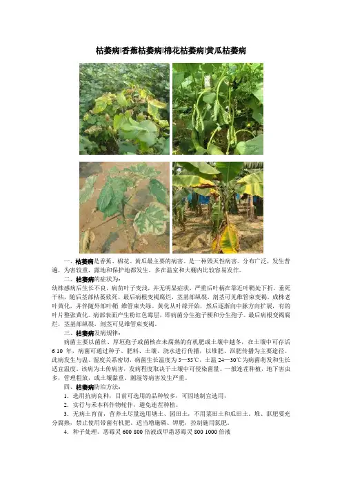 枯萎病的防治方法