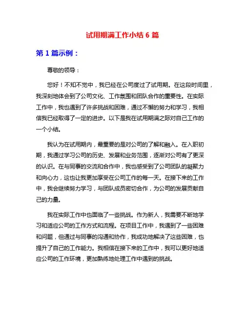 试用期满工作小结6篇