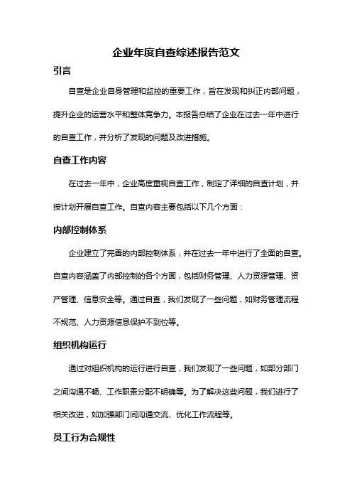企业年度自查综述报告范文