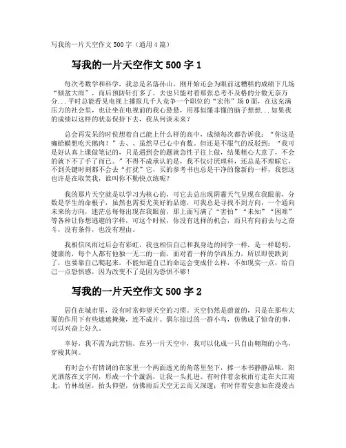 写我的一片天空作文500字