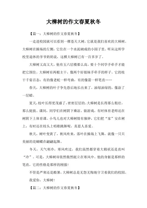 大樟树的作文春夏秋冬