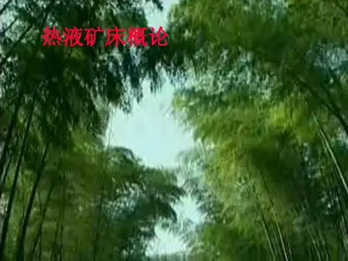 第六章  热液矿床概论2012