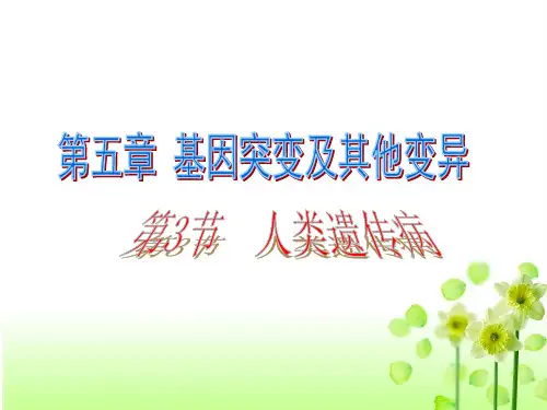 人教版生物必修二人类遗传病教学课件(共31张PPT)