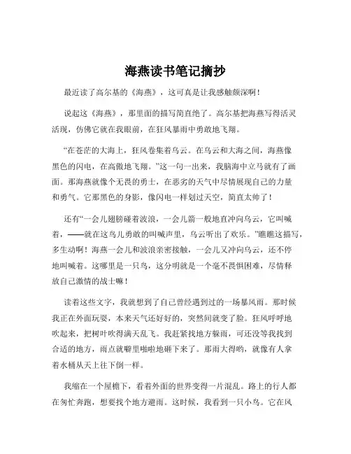海燕读书笔记摘抄