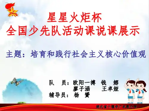 少先队活动课说课完整PPT课件