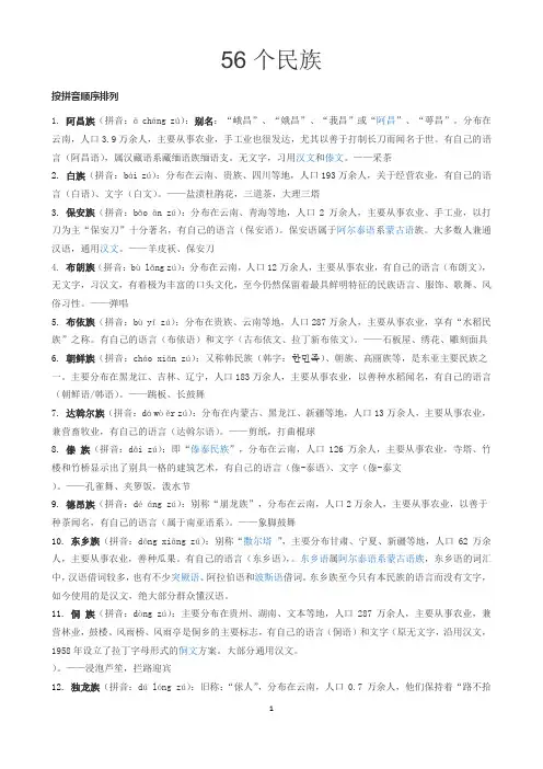 56个民族9.3