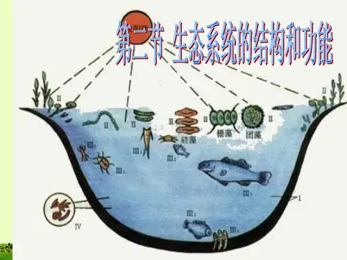 八年级生物下册 第8单元 第23章 第2节《生态系统的结构和功能》课件 北师大版
