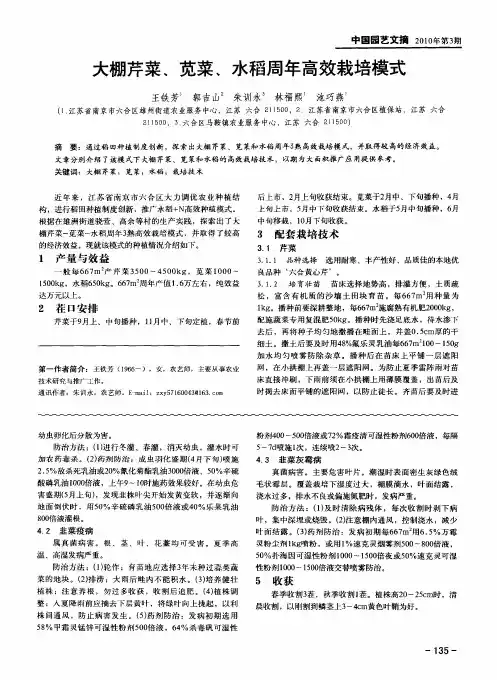大棚芹菜、苋菜、水稻周年高效栽培模式
