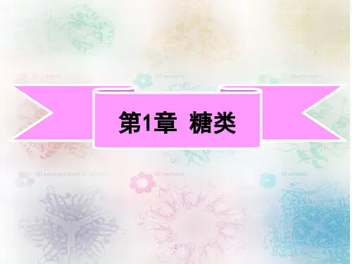 生物化学.糖类ppt课件