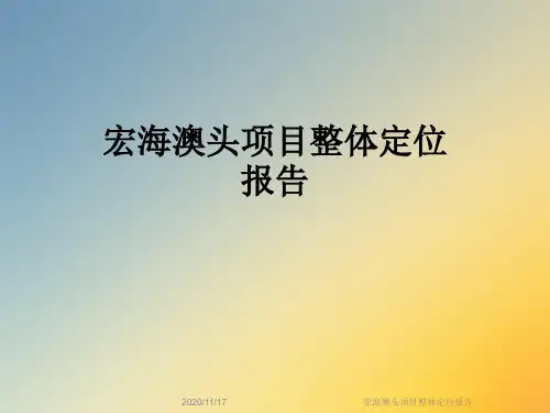 宏海澳头项目整体定位报告