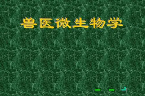 兽医微生物学 第十九章 革兰氏阴性需养杆菌