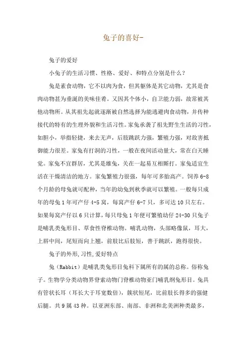 兔子的喜好--兔子的爱好