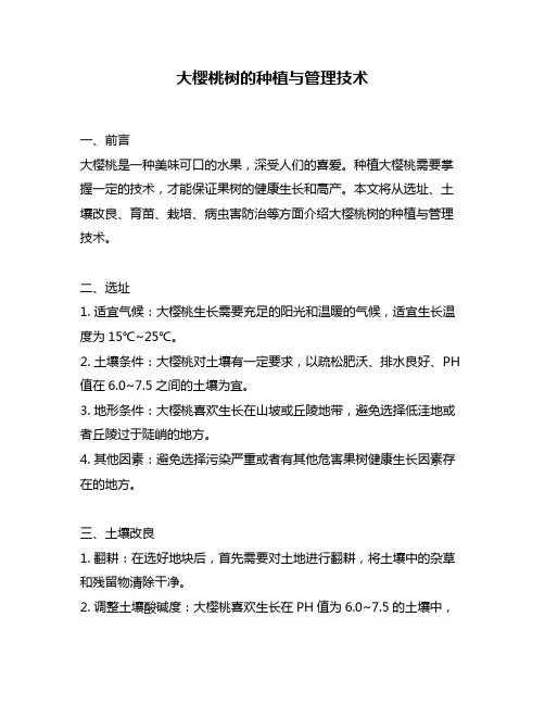 大樱桃树的种植与管理技术