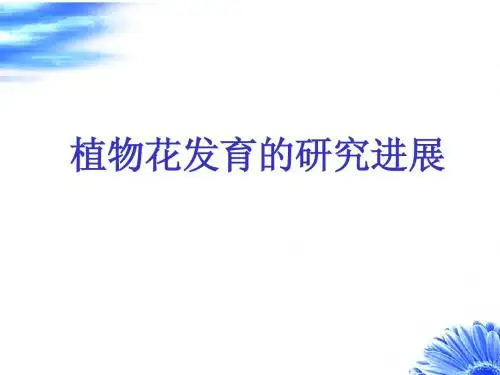 植物花发育的研究进展