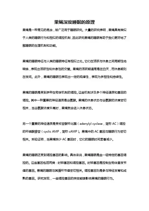 果蝇深度睡眠的原理