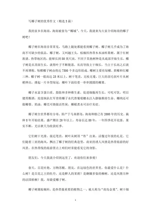 写椰子树的优秀作文(最新)