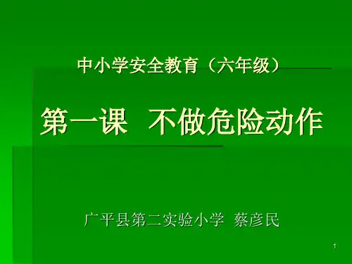 安全教育不做危险动作PPT课件