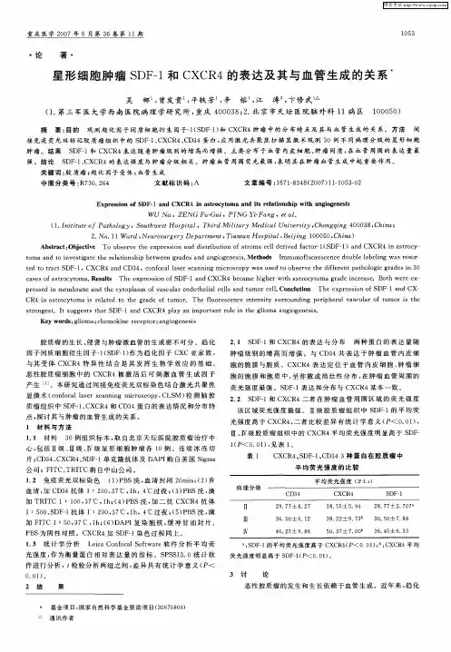 星形细胞肿瘤SDF-1和CXCR4的表达及其与血管生成的关系