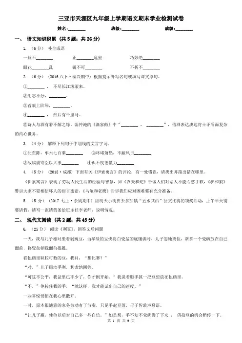 三亚市天涯区九年级上学期语文期末学业检测试卷