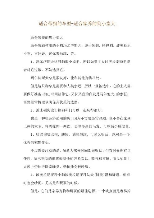 适合带狗的车型-适合家养的狗小型犬