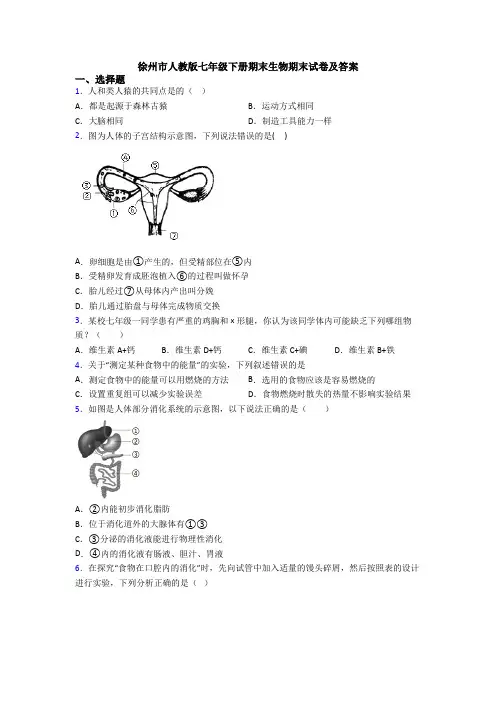 徐州市人教版七年级下册期末生物期末试卷及答案