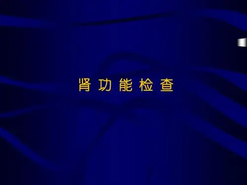 肾功能检查