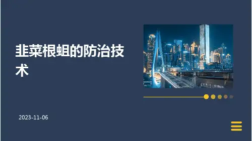 韭菜根蛆的防治技术
