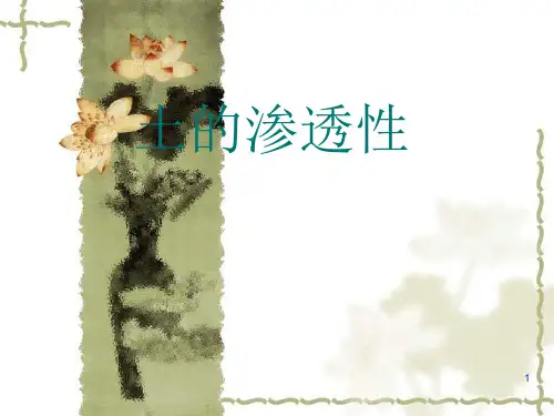 土的渗透性PPT演示课件