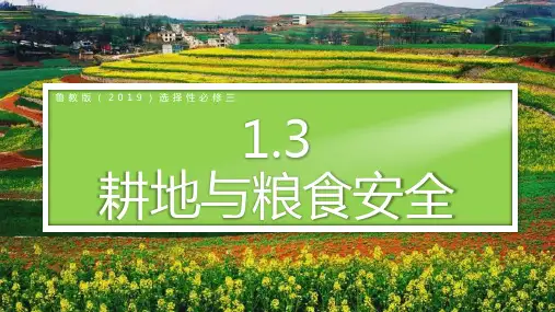 高中地理鲁教版(2019)选择性必修3课件：1-3 耕地与粮食安全(31张)