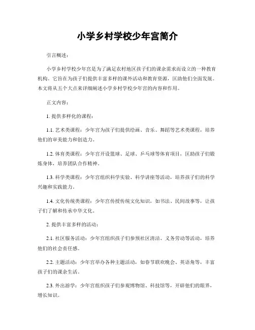 小学乡村学校少年宫简介