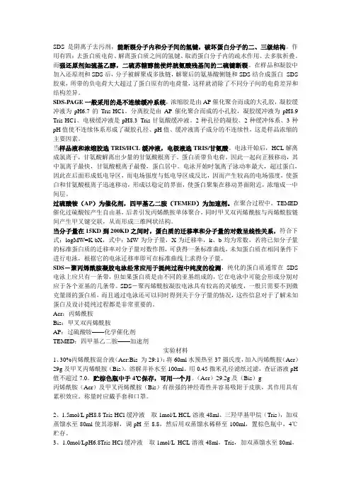 SDS-PAGE原理、试剂配制和注意事项