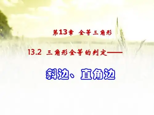 13.2 三角形全等的判定hl课件.ppt