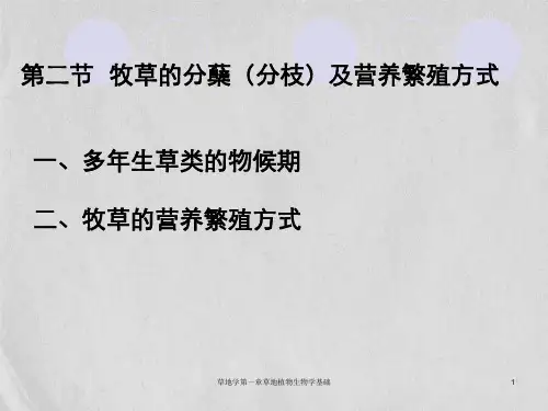 草地学第一章草地植物生物学基础