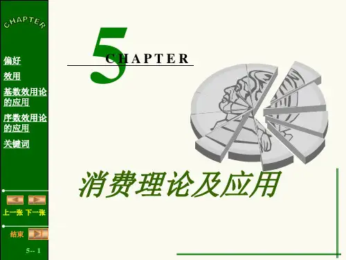 第五篇消费理论