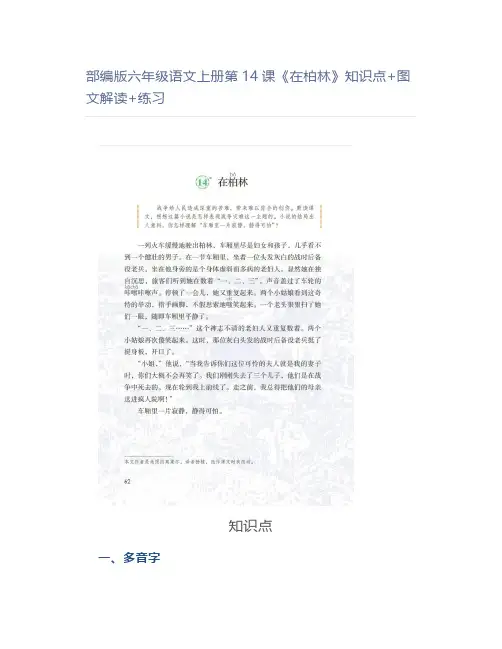 部编版六年级语文上册第14课《在柏林》知识点+图文解读+练习