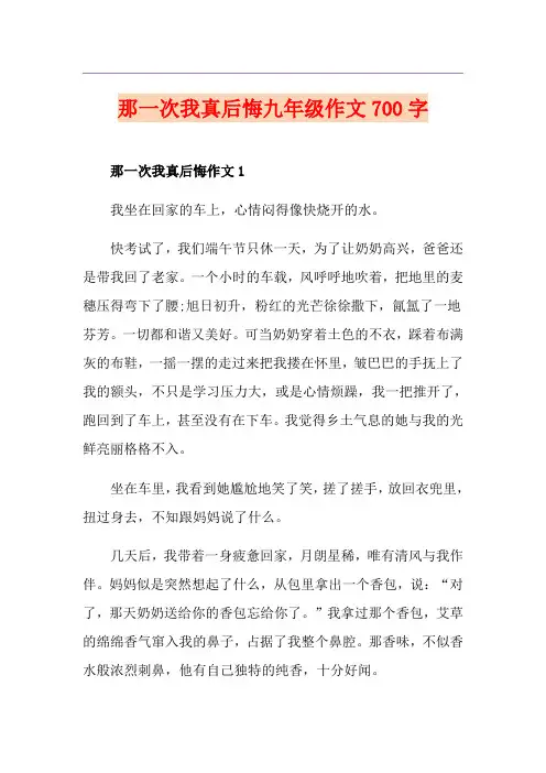 那一次我真后悔九年级作文700字