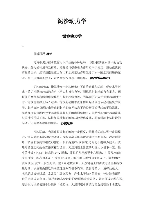 泥沙动力学——精选推荐